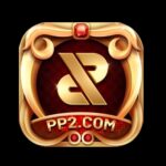 PP2 GAME PAK